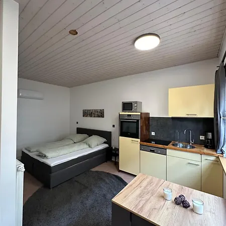 Apartment Ferienwohnung Am